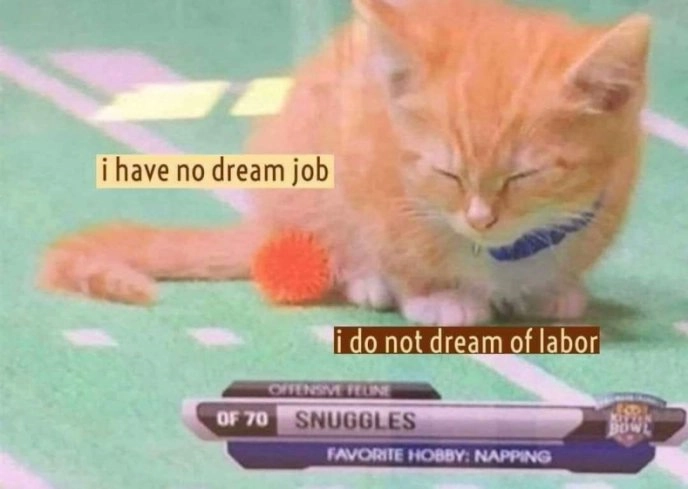 Meme #10