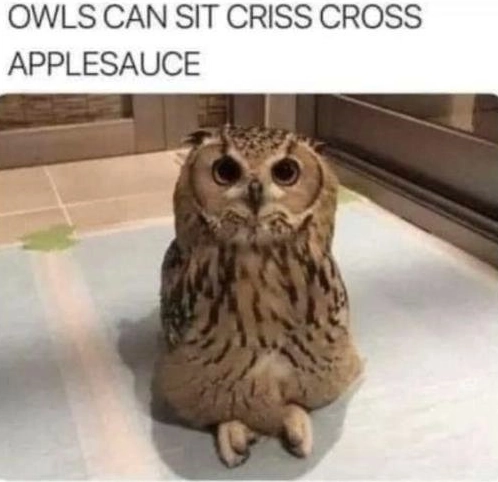 Meme #15